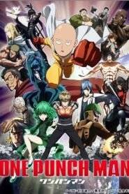 One-Punch Man: Season 1